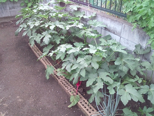 a0034438_1617110.jpg