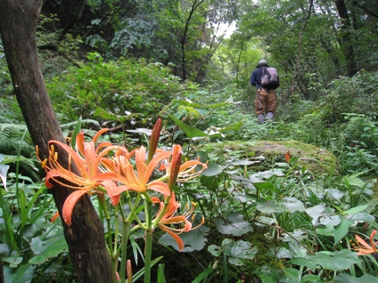 c0077338_171138100.jpg