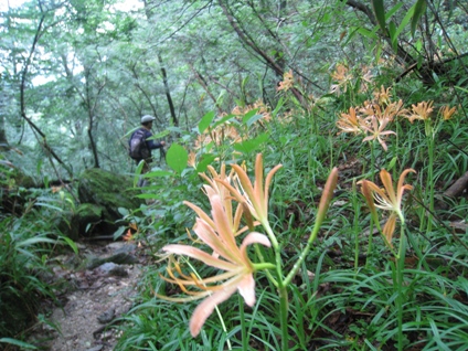 c0077338_17121455.jpg