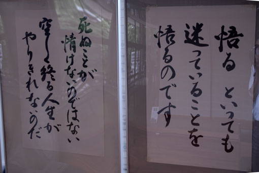 b0087840_17554854.jpg