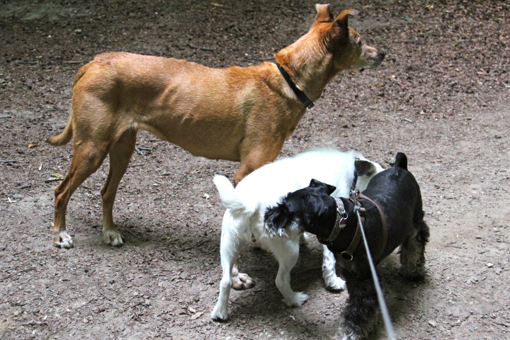 c0153740_24242100.jpg
