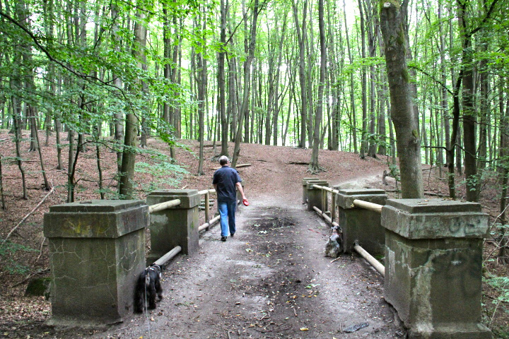 c0153740_2431725.jpg