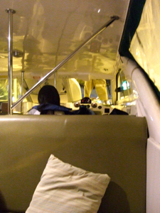 f0190653_1740684.jpg