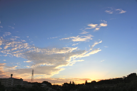 a0248459_19381055.jpg