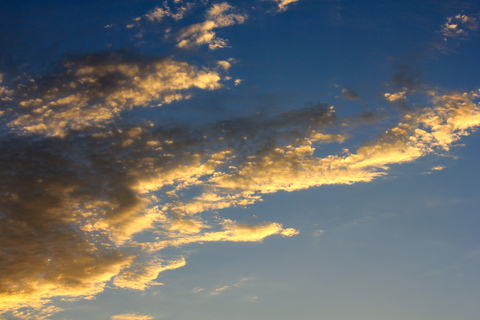 a0248459_19393311.jpg