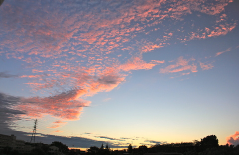 a0248459_19394039.jpg