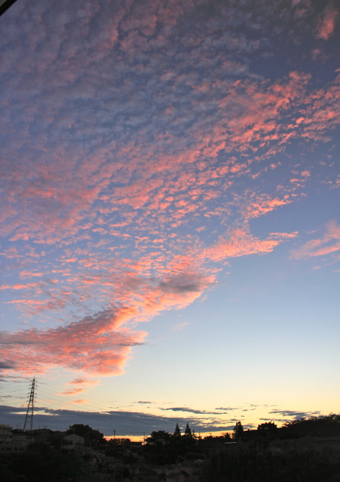a0248459_193946100.jpg