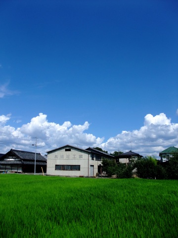e0045768_2232947.jpg