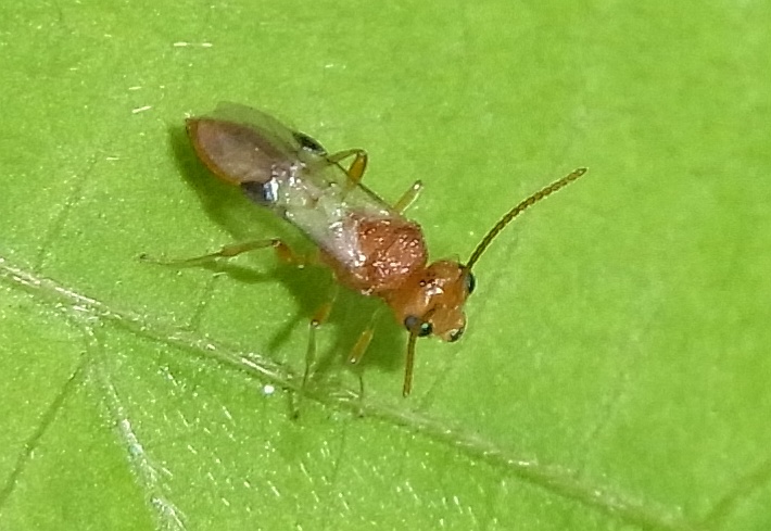 b0070071_810206.jpg