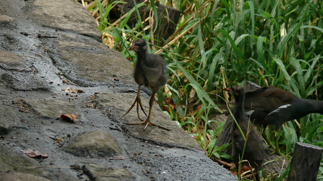 a0185081_16113967.jpg