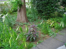 a0142083_19191726.jpg