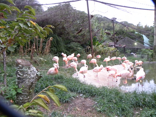 c0120585_114321100.jpg