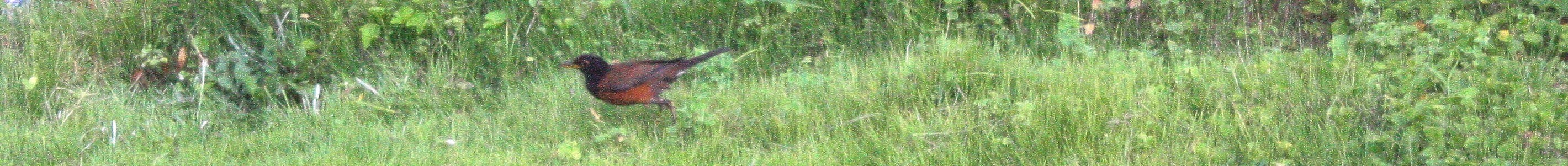 c0204385_23554724.jpg