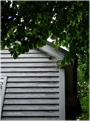 e0138787_1813584.jpg