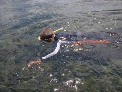 c0146788_7255797.jpg