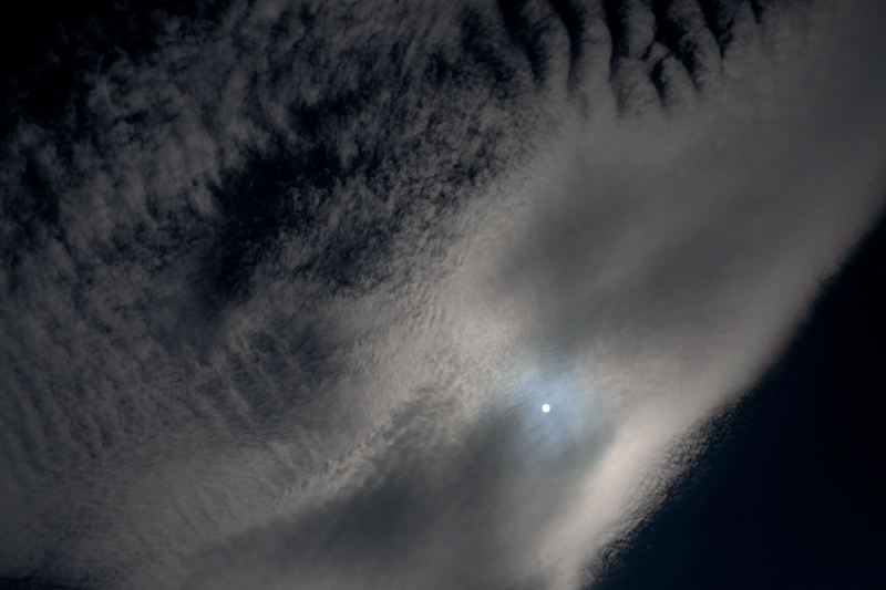 c0193289_16513331.gif