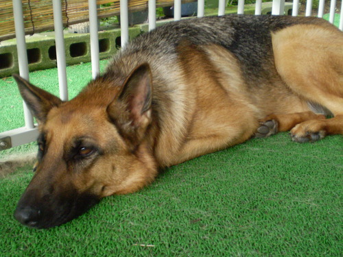 a0135990_2150125.jpg