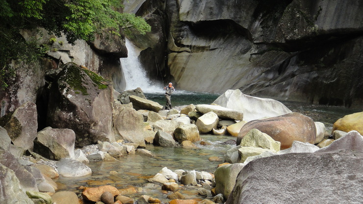 f0141392_19181572.jpg