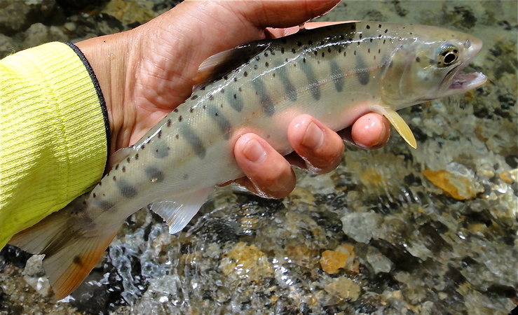 f0141392_19394715.jpg