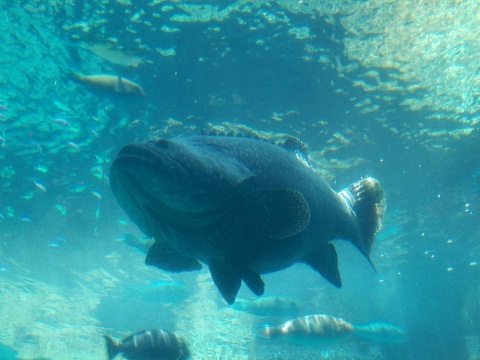 a0252596_1849955.jpg