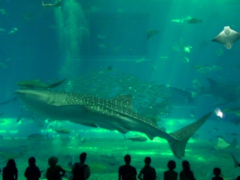 a0252596_18503664.jpg