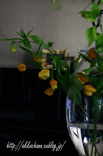 f0128096_9403079.gif