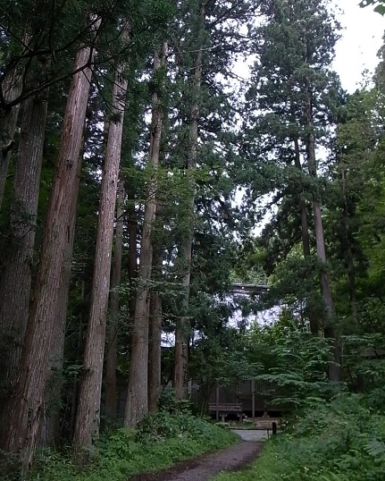 e0043700_20101187.jpg