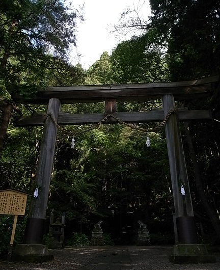 e0043700_2010282.jpg