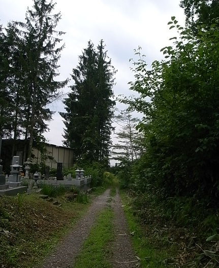 e0043700_2084997.jpg
