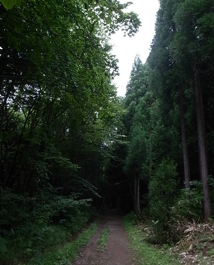 e0043700_209573.jpg