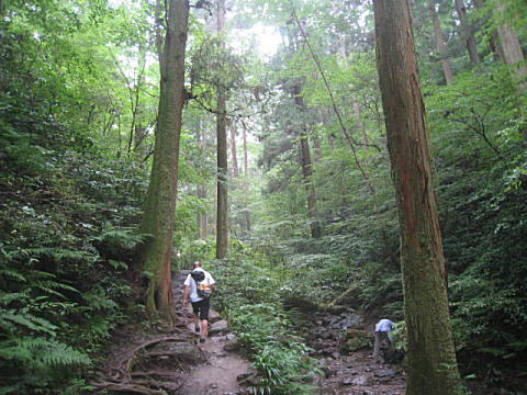 d0046702_5545625.jpg