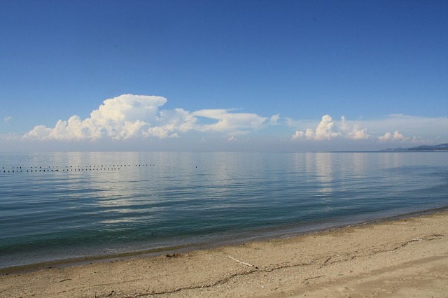 f0231904_1147480.jpg