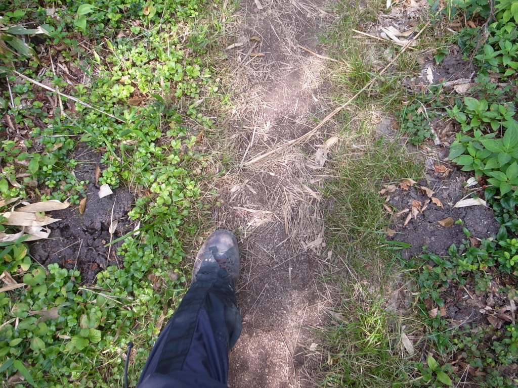 b0050305_972446.jpg