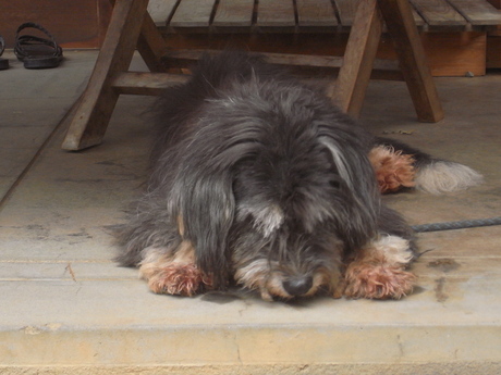 e0200405_8494687.jpg