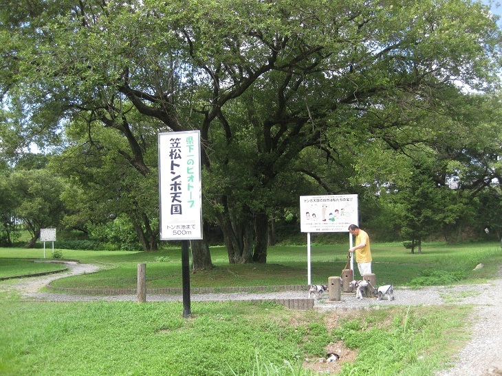f0179209_1443749.jpg