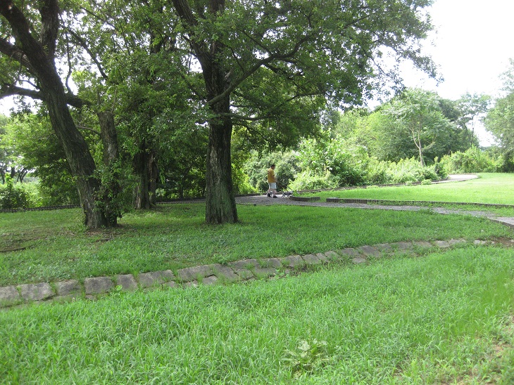 f0179209_14441183.jpg