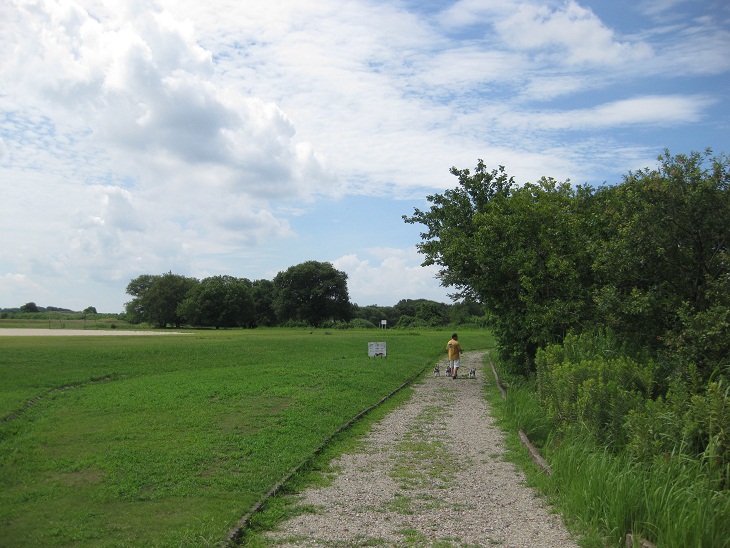 f0179209_1445257.jpg