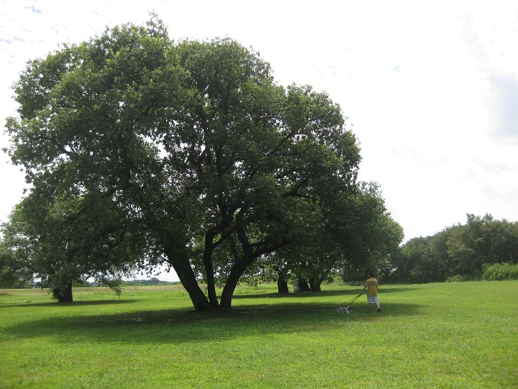 f0179209_14472840.jpg