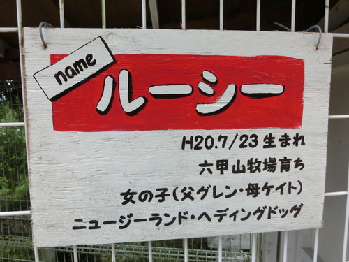 e0179321_16435665.jpg