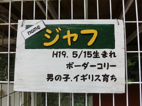 e0179321_16442745.jpg