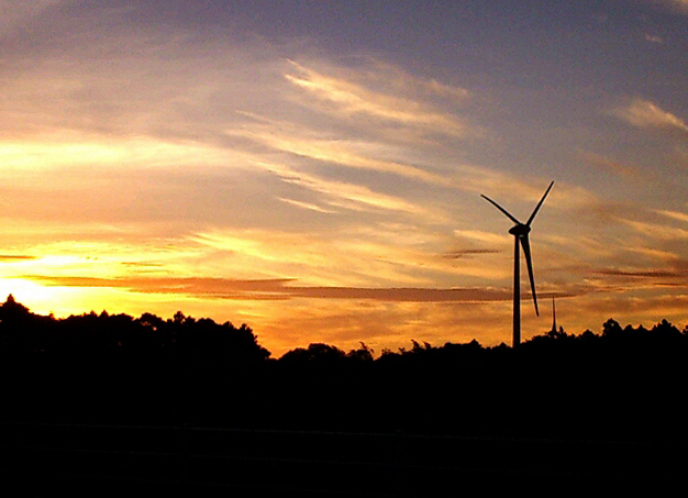 a0041826_1354782.jpg