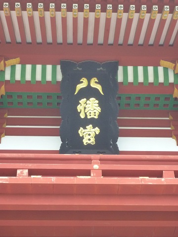 a0024829_213107.jpg