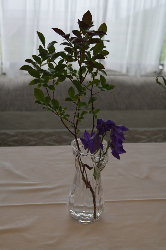 f0045630_150339.jpg