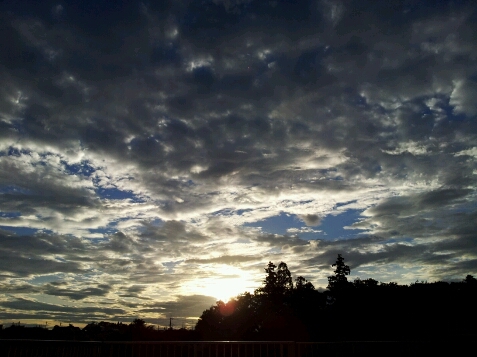 a0146431_14265437.jpg