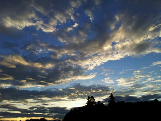 a0146431_1427233.jpg