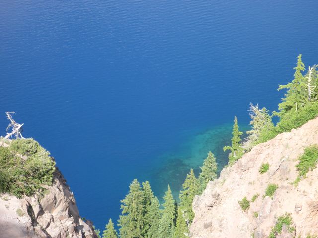 c0077835_1312256.jpg