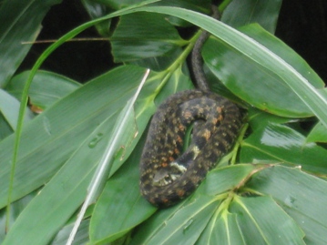 c0077338_5334769.jpg