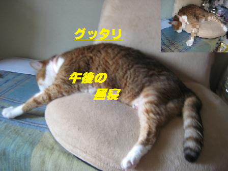 e0255638_1757188.png