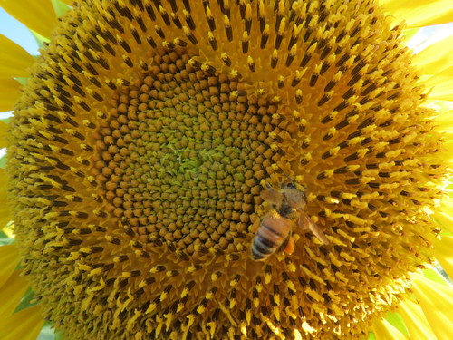 e0259738_5425682.jpg