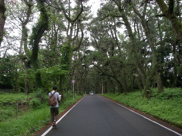d0029840_162199.jpg